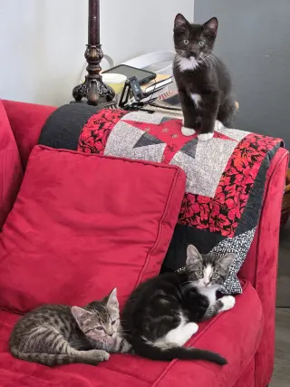 Fiona  & Nyx