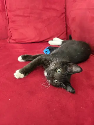 Nyx + Fiona