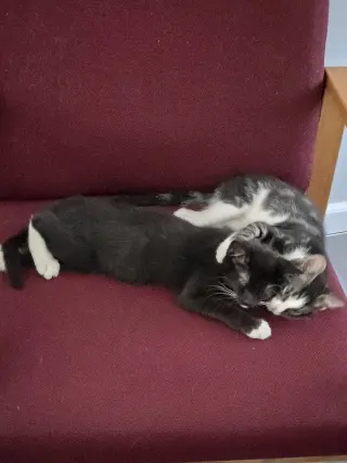 Nyx + Fiona