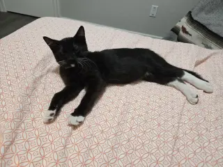 Nyx + Fiona