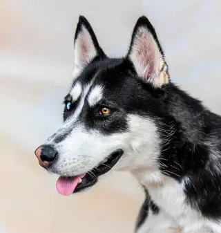 LUNA