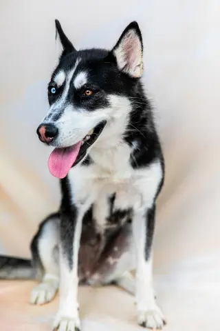 LUNA