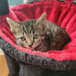 Lenny