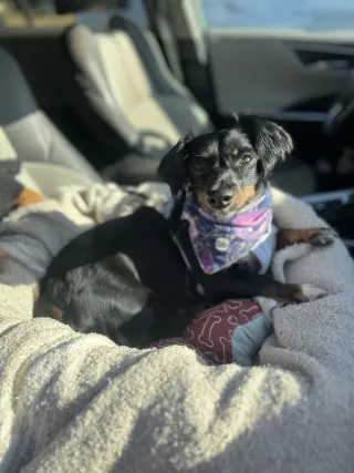 London - San Fernando Valley