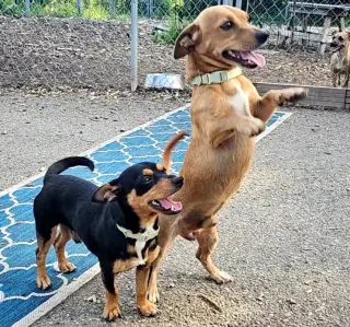 Luis and Leo