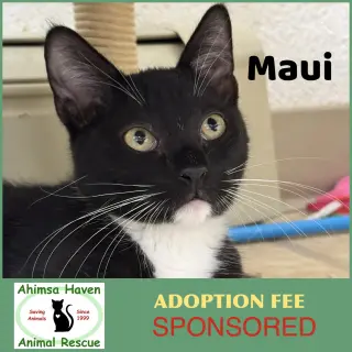 Maui