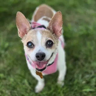 Hera