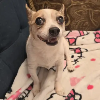Hera