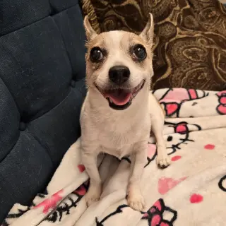 Hera