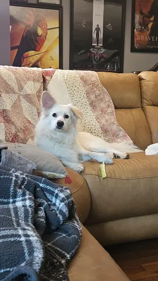 Rocco of Cresent, PA
