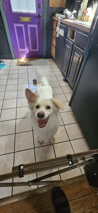 Rocco of Cresent, PA