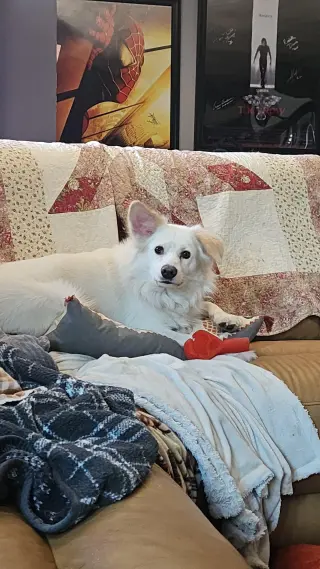 Rocco of Cresent, PA