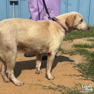 Spunky