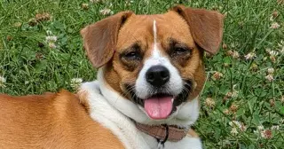 Tucker