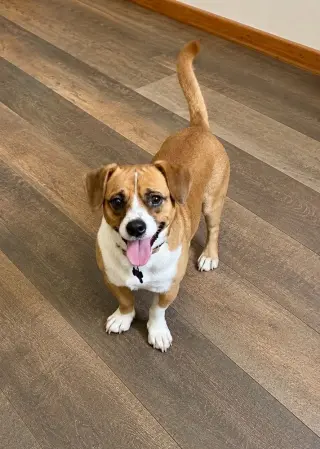 Tucker