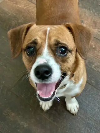 Tucker