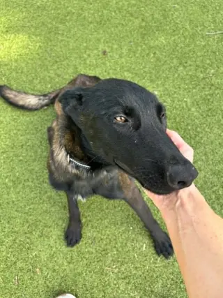 Onyx - Located in KS