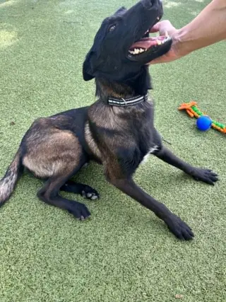 Onyx - Located in KS