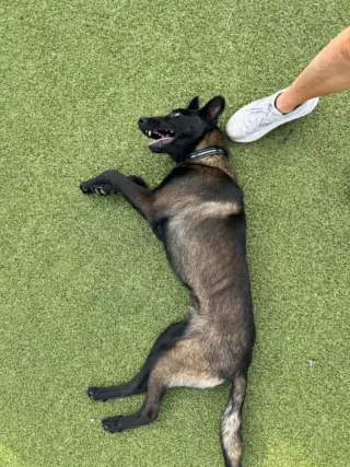 Onyx - Located in KS