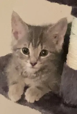 Swirls