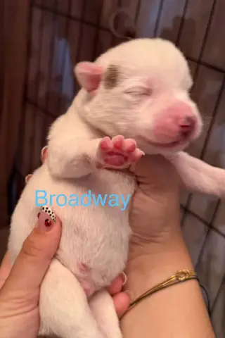 Broadway