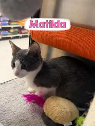 Matilda