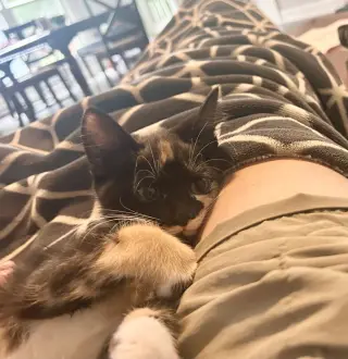 Missy Messi