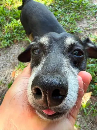 Charlie