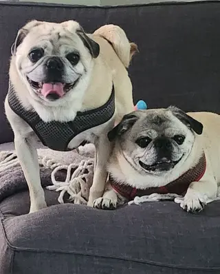 Frank