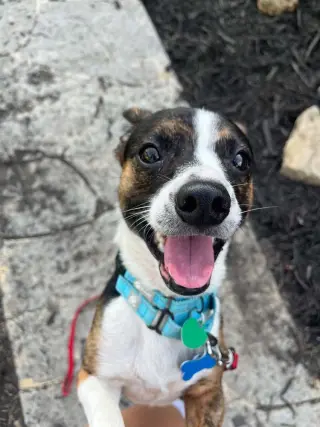 Max