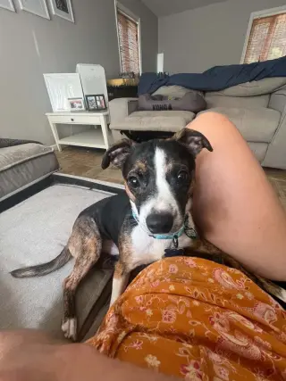 Max