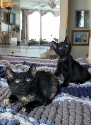 Trixie and Jujubee