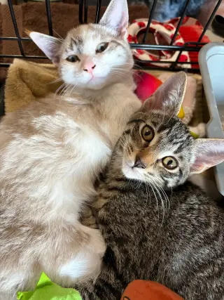 Ashley (& Ash)