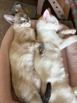Ash (& Ashley)