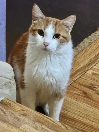 Pretty Mama