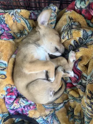 Luna