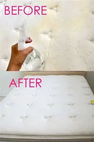 Ruben carpet care