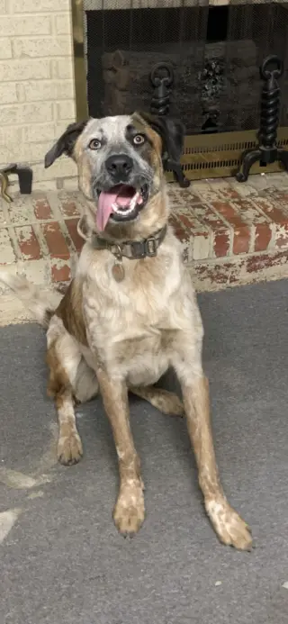 Milo Man