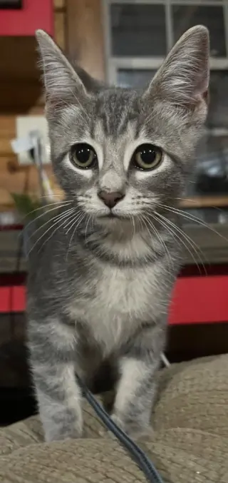 Winnie