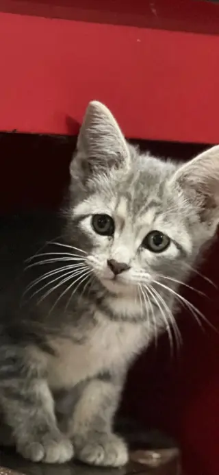 Winnie