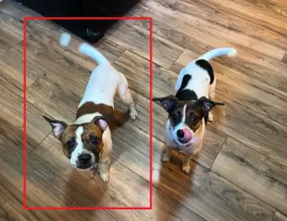 Ace