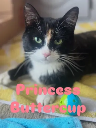 Princess Buttercup