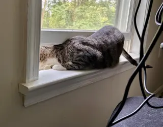 Squeaky