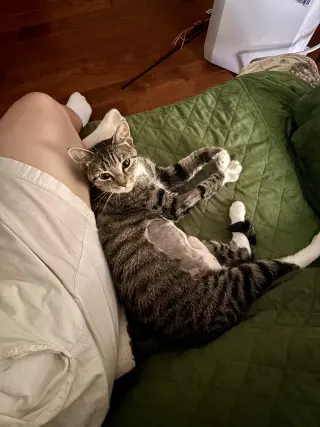 Squeaky