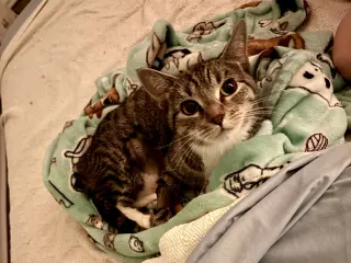 Squeaky