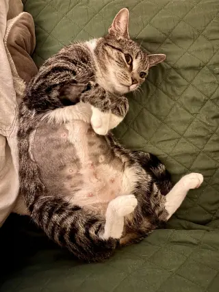 Squeaky