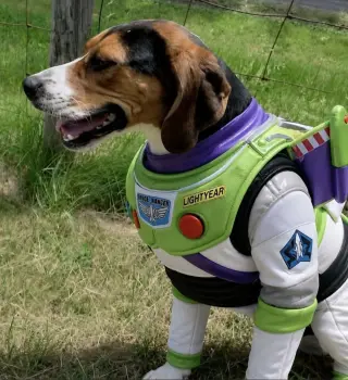 Buzz Lightyear