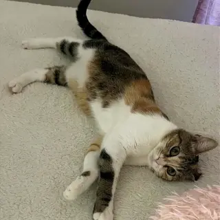 Nelly #pretty-inside-&-out