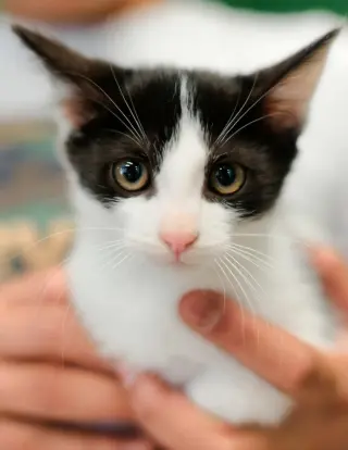Carl