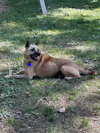 Leo